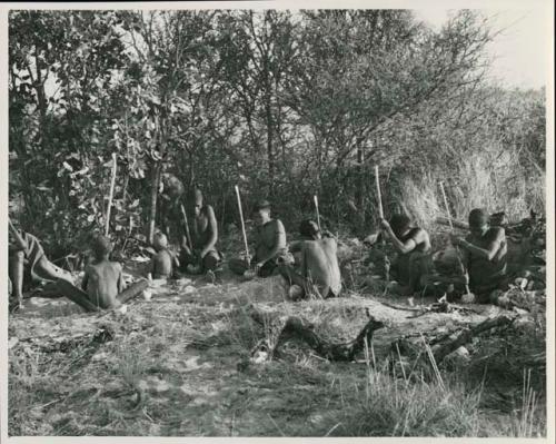 [No folder title]: Group of people sitting in a circle, all chopping tsama melons with their digging sticks


