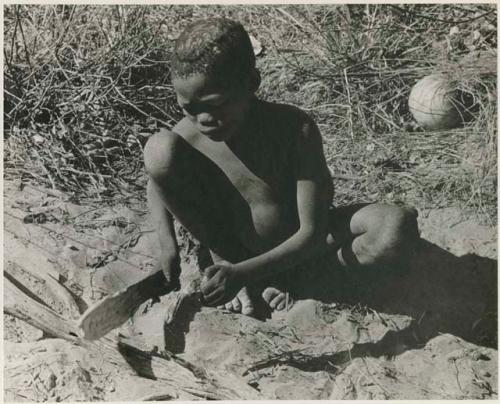 [No folder title]: /Gaiamakwe cooking meat in the ashes using a fire paddle



