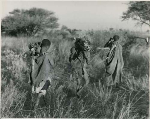 [No folder title]: Tsekue carrying N!whakwe and two women coming into the werft, with wood on their shoulders





