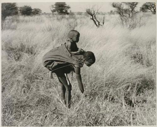 [No folder title]: Tsekue with N!whakwe on her back leaning over to pick up a tsama melon






