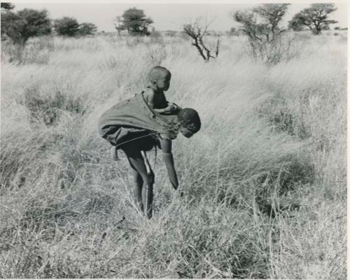 [No folder title]: Tsekue with N!whakwe on her back leaning over to pick up a tsama melon






