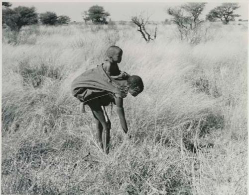 [No folder title]: Tsekue with N!whakwe on her back leaning over to pick up a tsama melon






