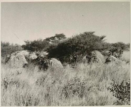 [No folder title]: Abandoned skerms, distant view
