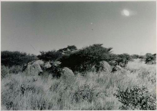 [No folder title]: Abandoned skerms, distant view
