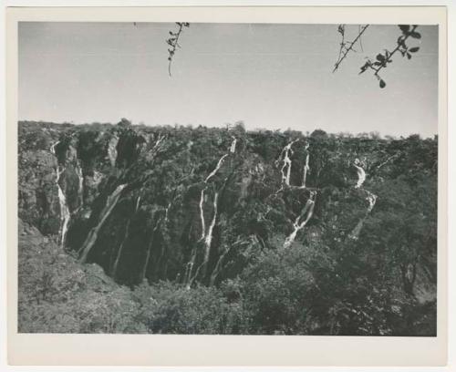 "1950's 400 series / 15 glossy prints / Photos of Welwitschia plant / Ruacana Falls": Ruacana Falls, showing many individual streams (print is a cropped image)