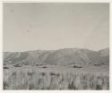 "1950's 400 series": Landscape, with grass and brush, mountains in distance (print is a cropped image)