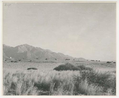 "1950's 400 series": Landscape, with grass and brush, mountains in distance (print is a cropped image)