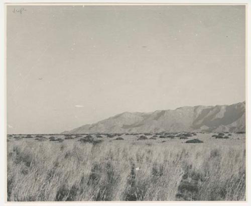 "1950's 400 series": Landscape, with grass and brush, mountains in distance (print is a cropped image)