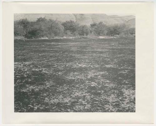 "1950's 400 series": Clearing, with shrubs and hills in background (print is a cropped image)