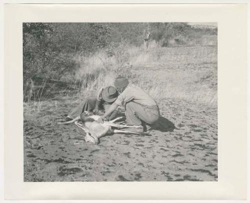 "1950's 400 series": Two men skinning an antelope (print is a cropped image)