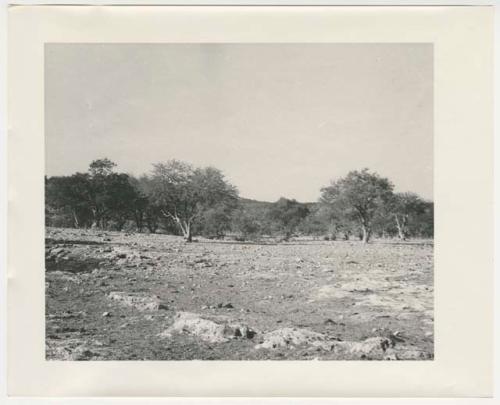 "1950's 400 series": Rocky landscape with trees (print is a cropped image)