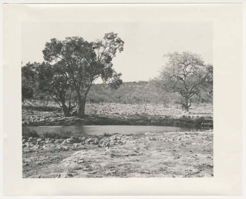 "1950's 400 series": Landscape, with water and trees (print is a cropped image)