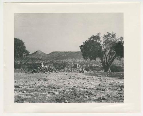 "1950's 400 series": Stone wall and trees (print is a cropped image)