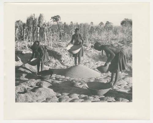 "Glossy duplicates of / 1950 Merl La Voy prints / 400 series": Three women standing and holding baskets of grain (print is a cropped image)