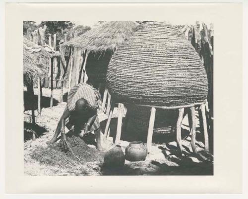 "1950 '400 Series' / 87 B/W prints (some duplicates) / Ovamboland": Woman working and leaning over, with storage basket behind her (print is a cropped image)