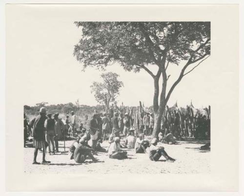 "1950 '400 Series' / 87 B/W prints (some duplicates) / Ovamboland": Group of men sitting and standing under a tree and by a fence (print is a cropped image)