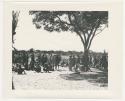 "1950 '400 Series' / 87 B/W prints (some duplicates) / Ovamboland": Group of men sitting and standing under a tree and by a fence (print is a cropped image)