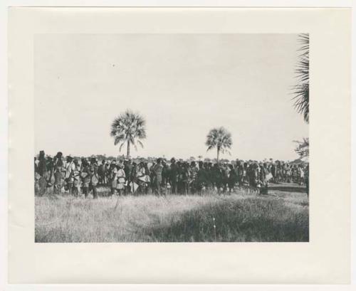 "1950 '400 Series' / 87 B/W prints (some duplicates) / Ovamboland": Large group of people standing in line (print is a cropped image)