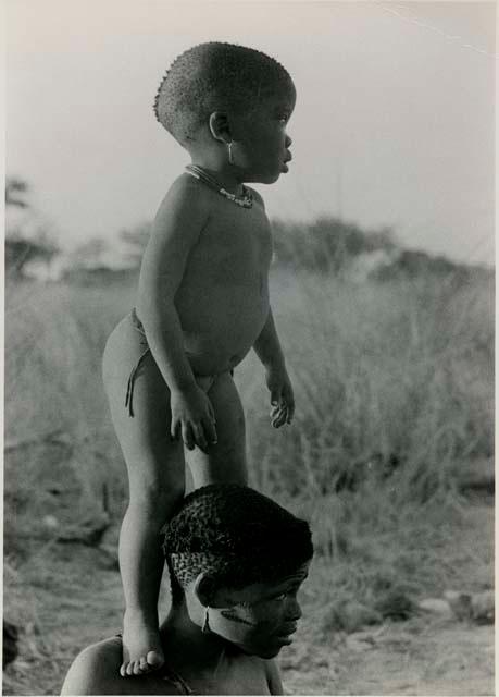 [No folder title]: N!whakwe standing on his mother Tsekue's shoulder to look over the grass to see what was making noise








