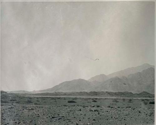 "1950 400 series  43 prints / Kunene River, Kaokoveld, Ovamboland / Merle LaVoy & L.K.M": Landscape, with mountains in background (print is a cropped image)