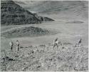 "1950 400 series  43 prints / Kunene River, Kaokoveld, Ovamboland / Merle LaVoy & L.K.M": Five men climbing a hill (print is a cropped image)