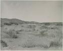 "1950 400 series  43 prints / Kunene River, Kaokoveld, Ovamboland / Merle LaVoy & L.K.M": Landscape with vegetation, and hills in the distance (print is a cropped image)