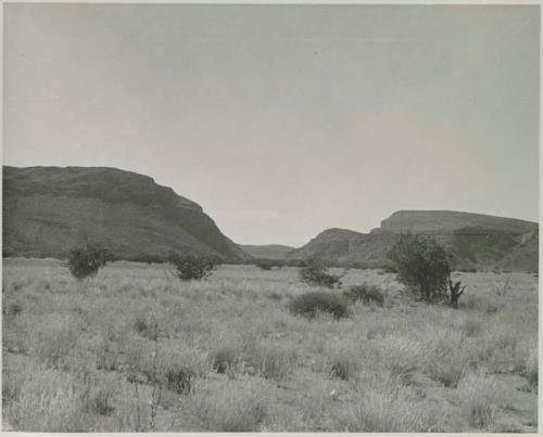 "1950 400 series  43 prints / Kunene River, Kaokoveld, Ovamboland / Merle LaVoy & L.K.M": Landscape with bushes or trees, and hills (print is a cropped image)