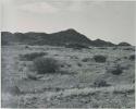 "1950 400 series  43 prints / Kunene River, Kaokoveld, Ovamboland / Merle LaVoy & L.K.M": Landscape with brush, and hills in the background (print is a cropped image)