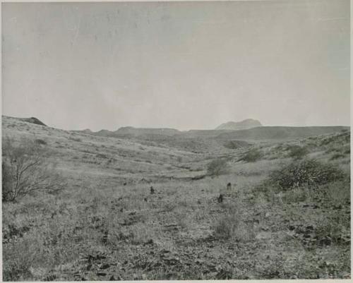 "1950 400 series  43 prints / Kunene River, Kaokoveld, Ovamboland / Merle LaVoy & L.K.M": Landscape with hills in the distance (print is a cropped image)