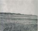 "1950 400 series  40 prints / Kaokoveld": Landscape, with hills in the distance (print is a cropped image)