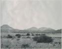 "1950 400 series  40 prints / Kaokoveld": Brush, with hills in the distance (print is a cropped image)