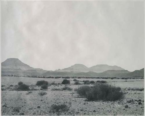 "1950 400 series  40 prints / Kaokoveld": Brush, with hills in the distance (print is a cropped image)