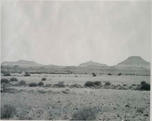 "1950 400 series  40 prints / Kaokoveld": Brush, with hills in the distance (print is a cropped image)