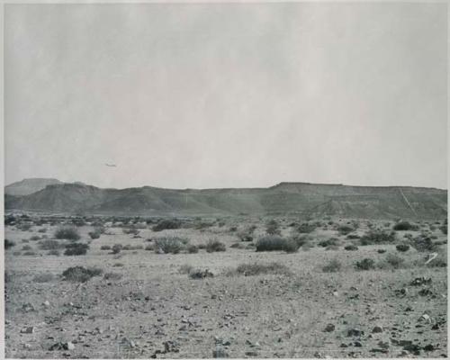 "1950 400 series  40 prints / Kaokoveld": Brush, with hills in the distance (print is a cropped image)