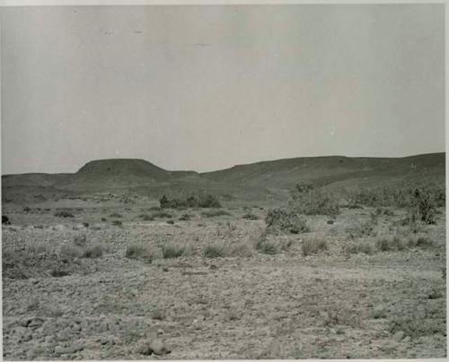 "1950 400 series  40 prints / Kaokoveld": Landscape with brush, hills in background (print is a cropped image)