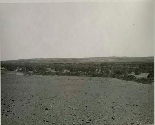 "1950 400 series  40 prints / Kaokoveld": Desert landscape (print is a cropped image)