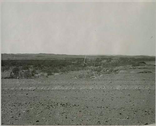 "1950 400 series  40 prints / Kaokoveld": Desert landscape (print is a cropped image)