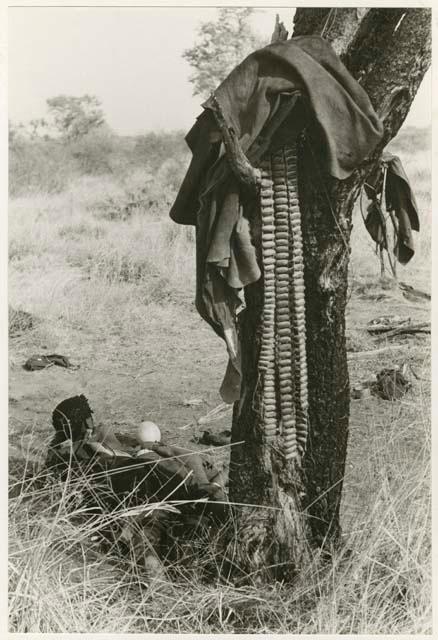 [No folder title]: Rattles hanging from a tree, kaross and ostrich eggshell (print is a cropped image)