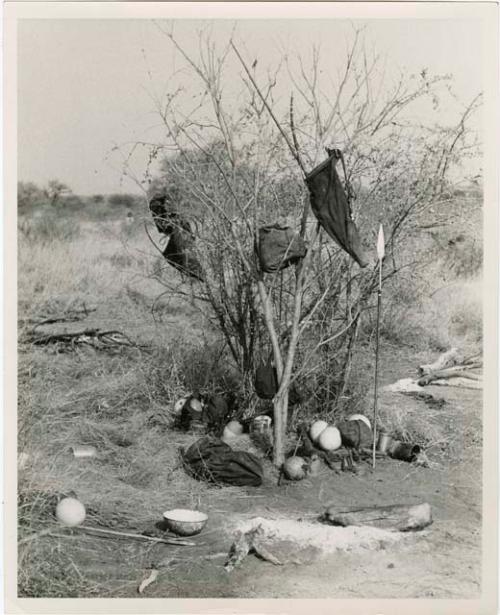 [No folder title]: Belongings hung in bushes at a living place in a werft (print is a cropped image)