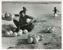 [No folder title]: Khuan//a (Gau's wife) sitting with ostrich egg shells and children playing in the water behind her(print is a cropped image)