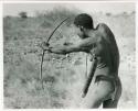 [No folder title]: "Crooked /Qui" demonstrating shooting an arrow, seen from the back (print is a cropped image)