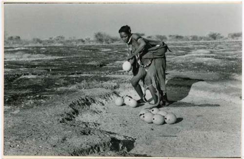 [No folder title]: Woman gathering her filled ostrich egg shells (print is a cropped image)