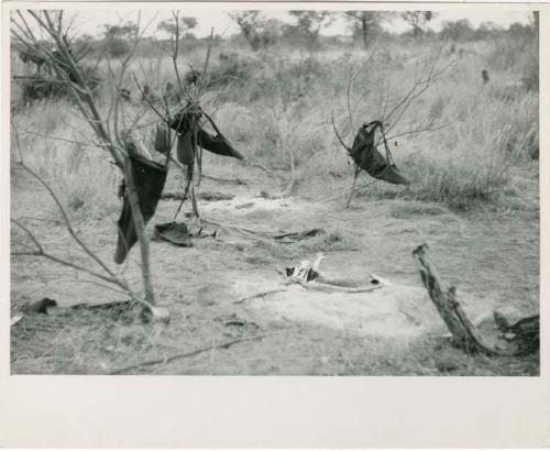 [No folder title]: Hunting bags hanging in branches, with a bed, and a fire in the background (print is a cropped image)