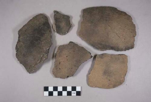 Ceramic body sherds