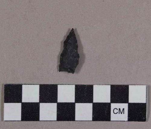 Fluted projectile point