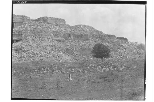 Sayil, Yucatan, right half of panoramic view of Palace; Str. 2BI