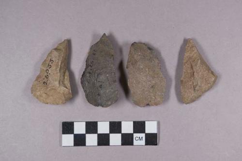 Modified lithic