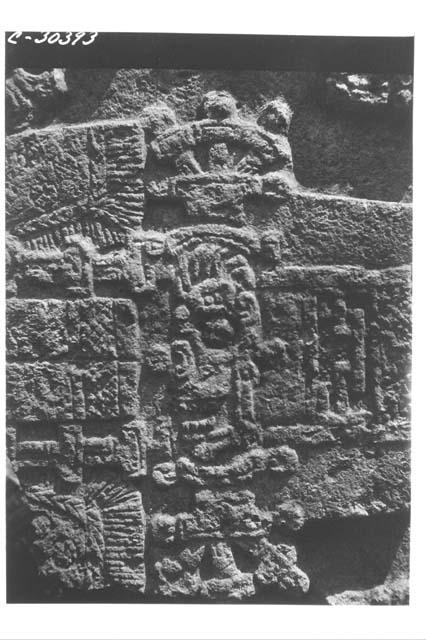 Stela 20. Middle section.