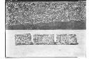 Caracol. 3 hieroglyphic stones marked B1, B2, B3. May 30th.