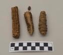 Two corn cobs, one bead, and one woody plant fragment